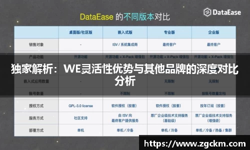 独家解析:WE灵活性优势与其他品牌的深度对比分析