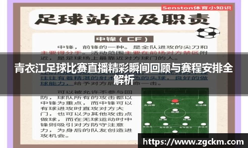 青衣江足球比赛直播精彩瞬间回顾与赛程安排全解析
